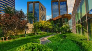 Read more about the article How Many Urban Green Spaces Fill the City: How Cities Are Growing Their Natural Footprint (2024 Data)